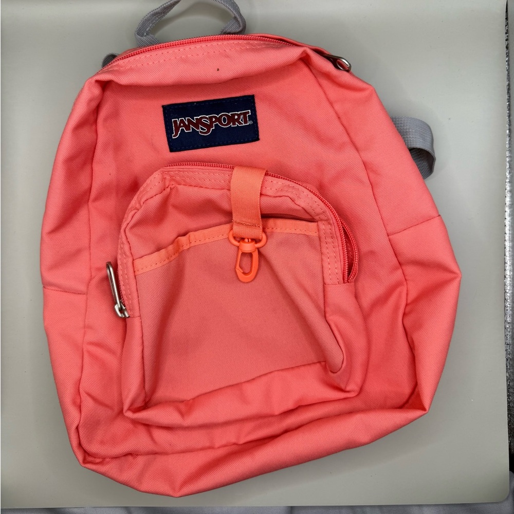 Jansport Coral Pink mini Backpack